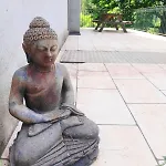 Apartment Zen *