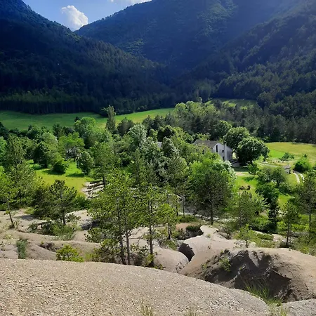 Zen